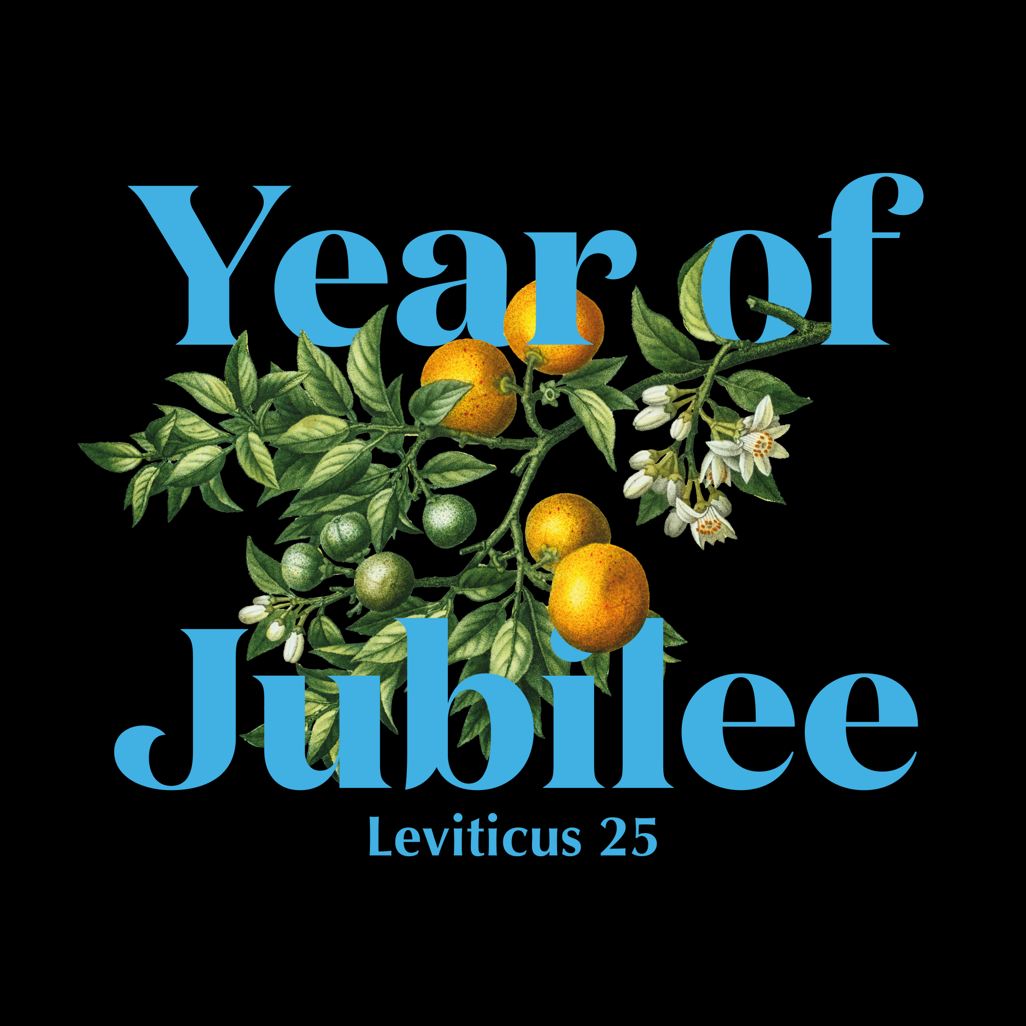 The Year of Jubilee!