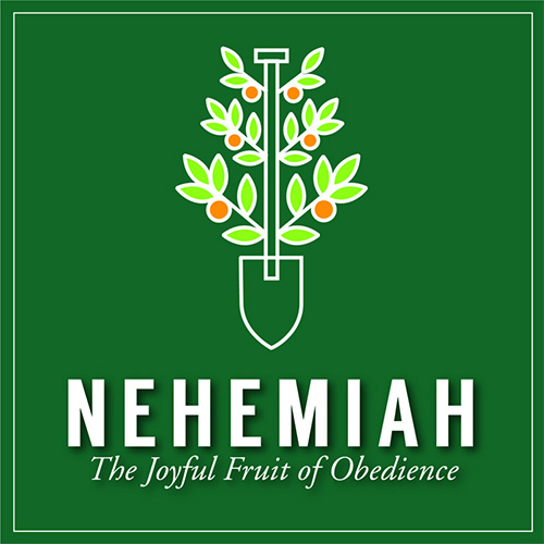 Nehemiah sermon series image